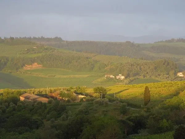Montespertoli-Toscane (3)