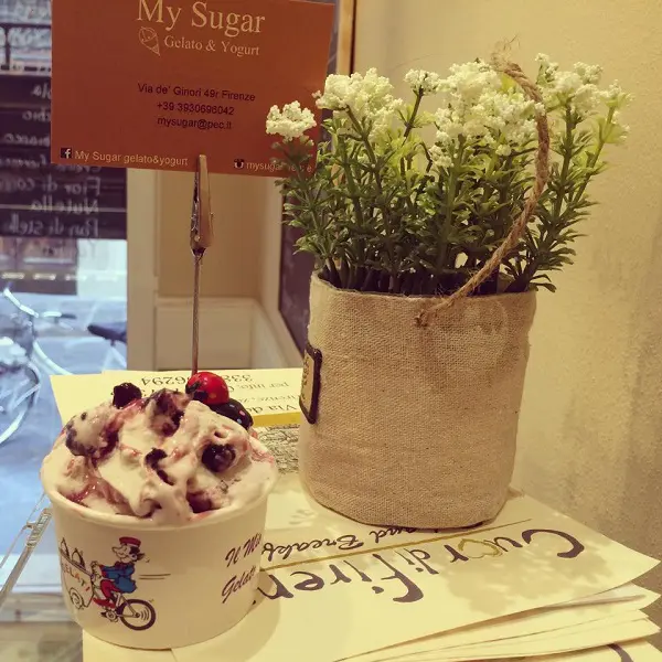 My-Sugar-Florence-2