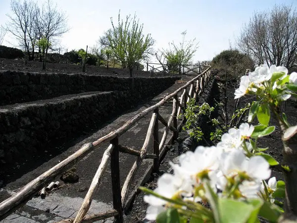 Nicolosi-Etna-Sicilie (2)