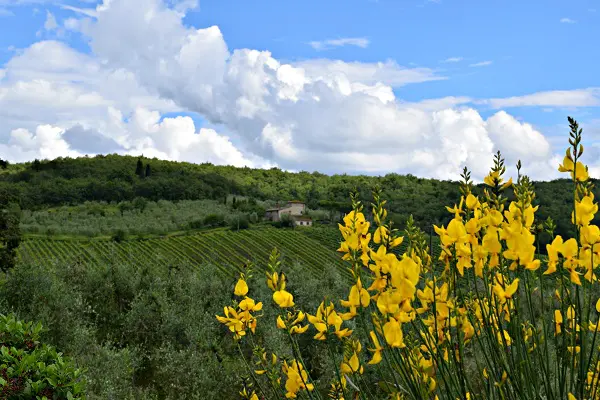 Op-een-Vespa-door-Toscane (22)