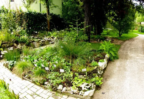Orto-Botanico-Padova-botanische-tuin-Padua (1)