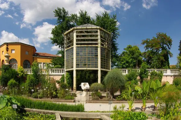 Orto-Botanico-Padova-botanische-tuin-Padua (5)