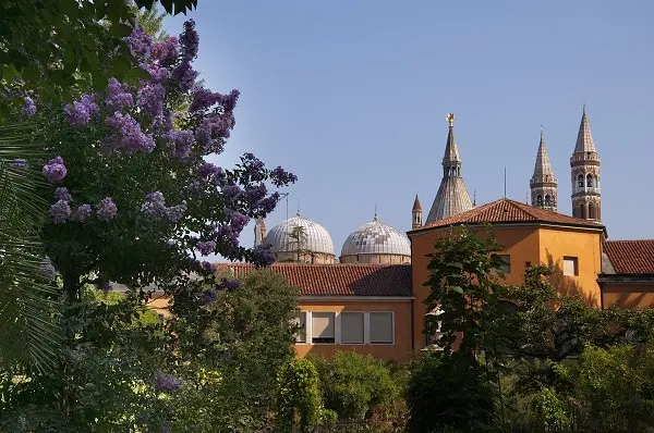 Orto-Botanico-botanische-tuin-Padua