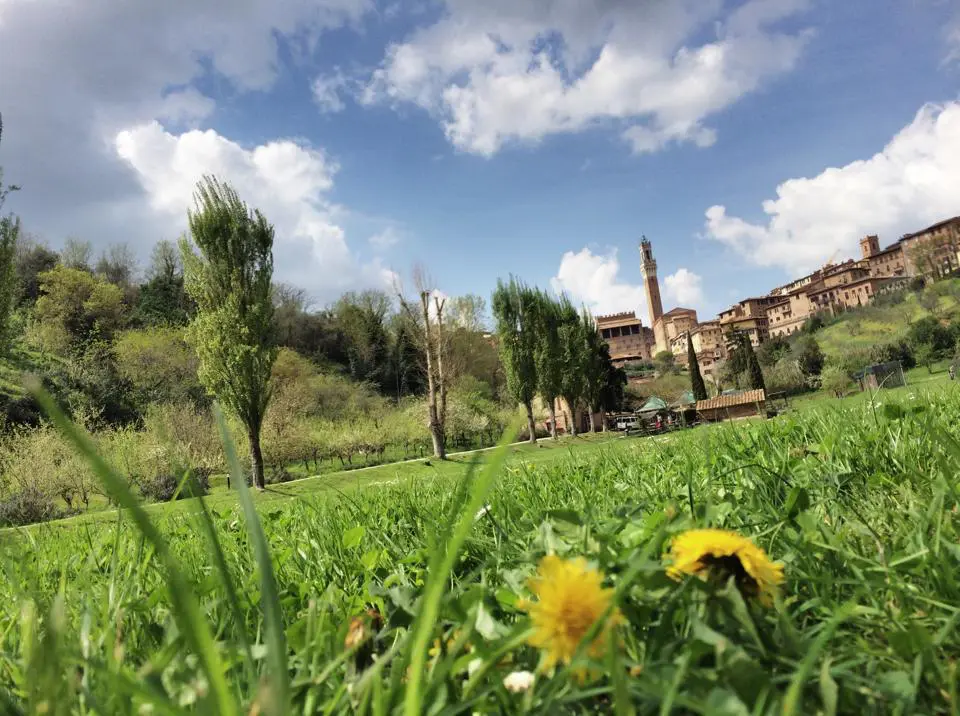Orto-Pecci