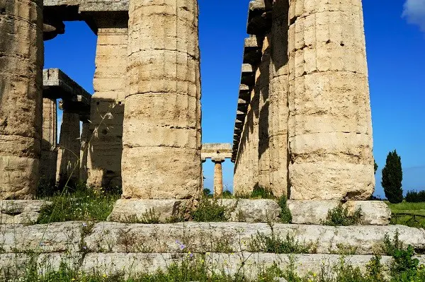Paestum-tempels (2)