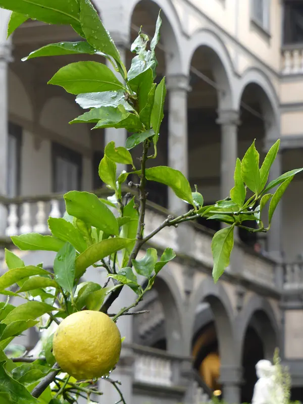 Palazzo-Pfanner-Lucca (23)