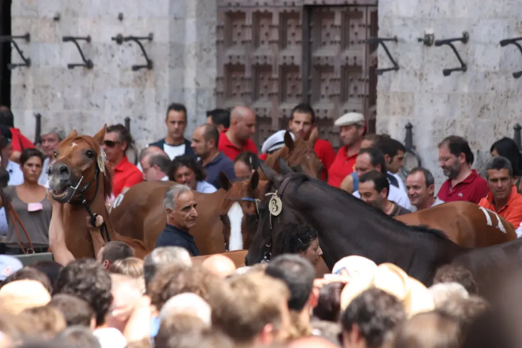 Palio-Siena (2)