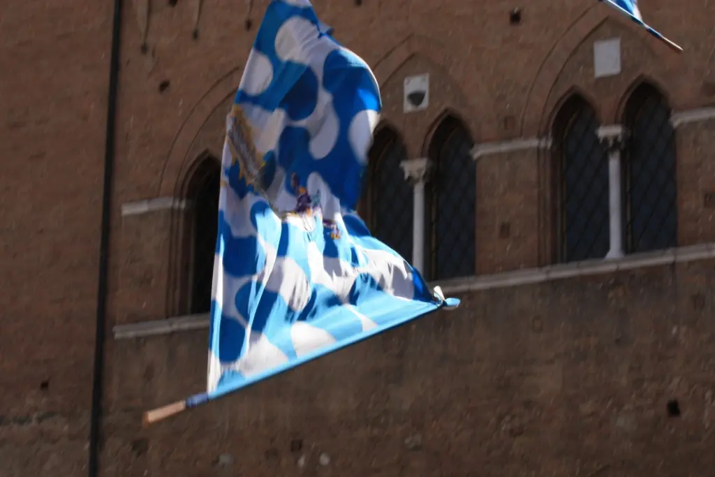 Palio-Siena (23)
