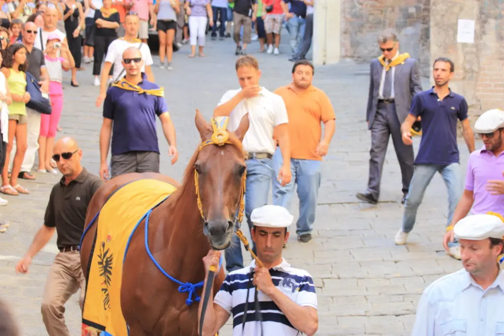 Palio-Siena (8)