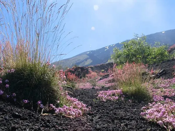 Parco-Etna-Sicilie-2