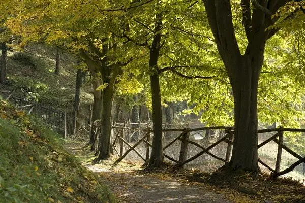 Parco-Sigurta-Gardameer (10)