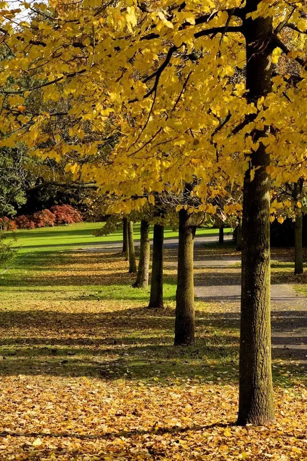 Parco-Sigurta-Gardameer (12)