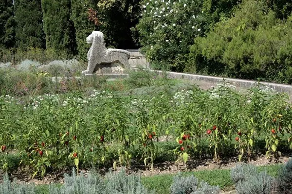 Parco-Sigurta-Gardameer (16)