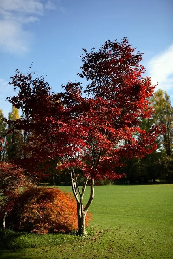 Parco-Sigurta-Gardameer (3)