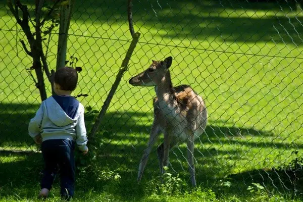 Parco-Sigurta-Gardameer (9)