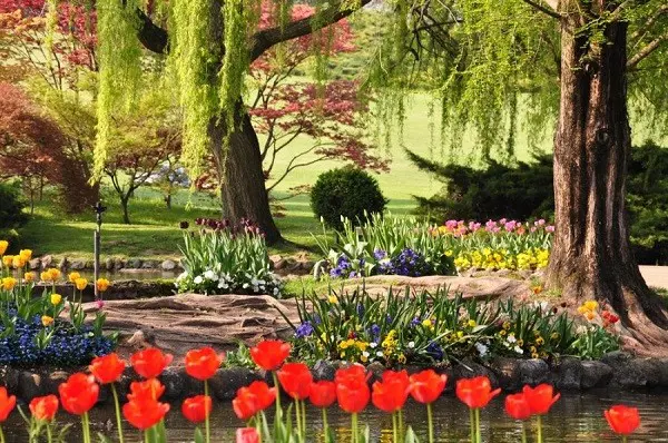 Parco-Sigurta-Gardameer-tulpen