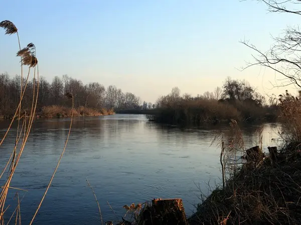 Parco-del-Mincio-1