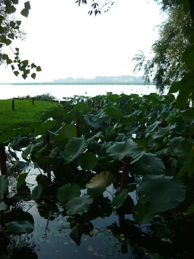 Parco-del-Mincio (11)