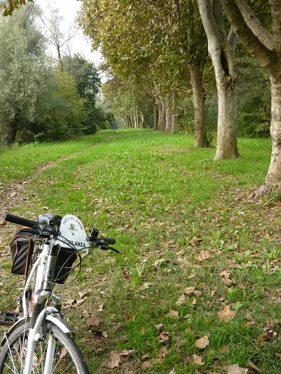 Parco-del-Mincio (6)