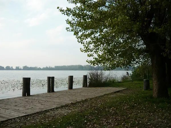 Parco-del-Mincio (8)