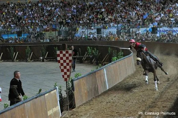 Pistoia-Giostra-Orso-2