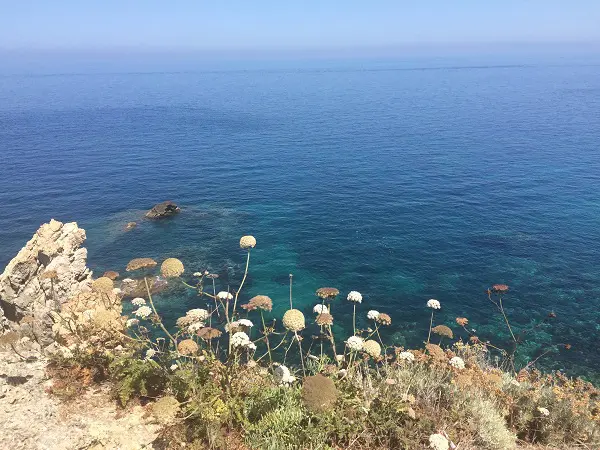 Ponza-Cala-Fonte (1)