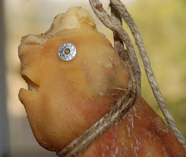 Prosciutto-Parma-drogen (3)