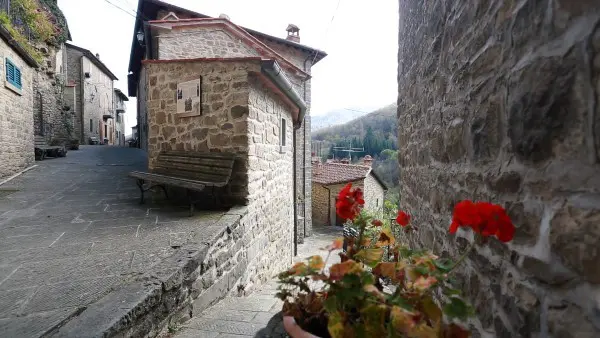 Raggiolo-Nicola-Lanese (8)