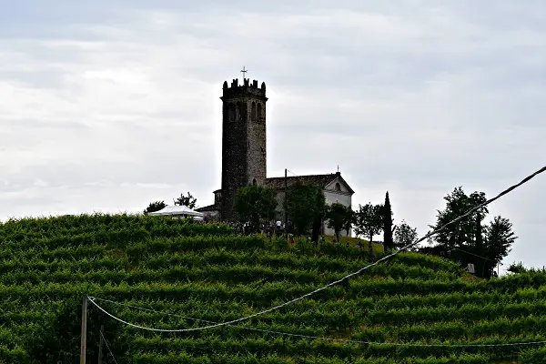 Rive-Vive-prosecco-wijngaarden-Veneto-feest-wandelen (10a)