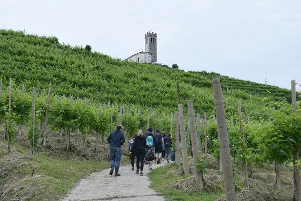 Rive-Vive-prosecco-wijngaarden-Veneto-feest-wandelen (4)
