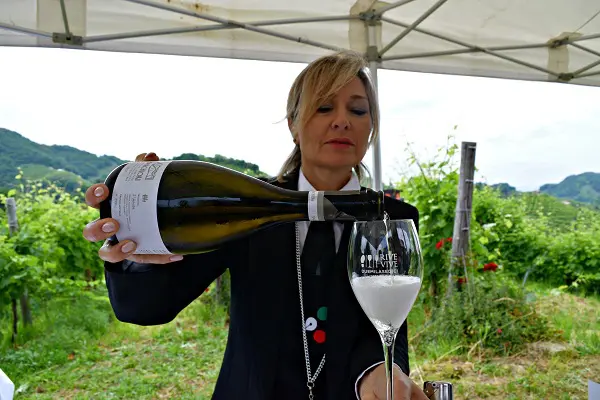 Rive-Vive-prosecco-wijngaarden-Veneto-feest-wandelen (8)
