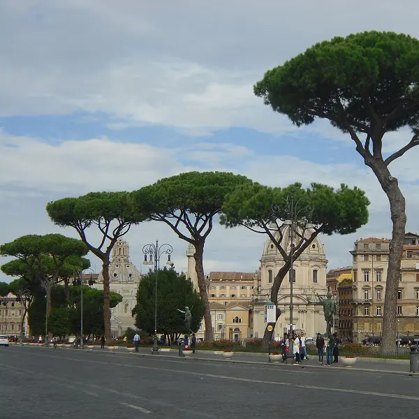 Rome-20