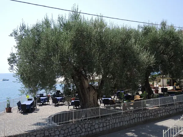 Scario-Cilento (5)