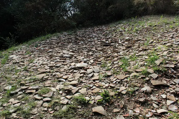 Schervenberg-Testaccio-Rome (3)
