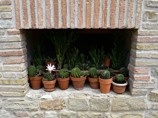 Serra-San-Quirico-Le-Marche (23)