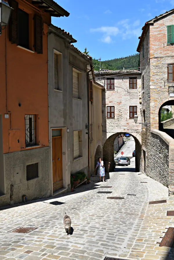 Serra-San-Quirico-Le-Marche (2c)