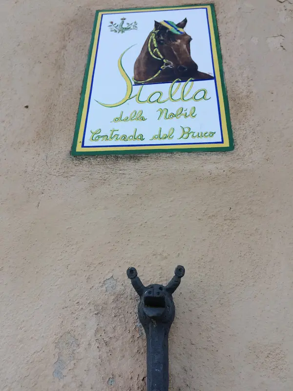 Siena-contrada-Bruco (2)