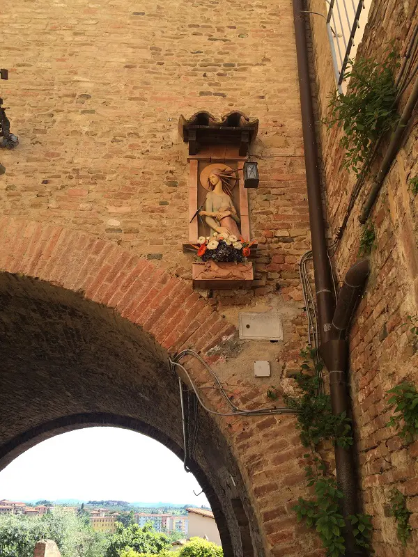 Siena-contrada-Bruco (5)