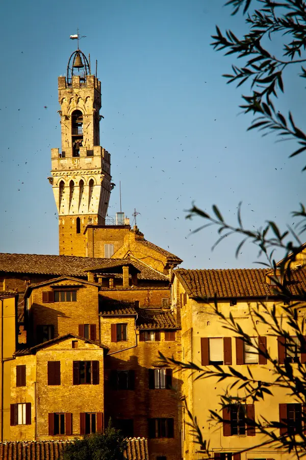 Torre-Mangia-Piazza-Campo-Siena
