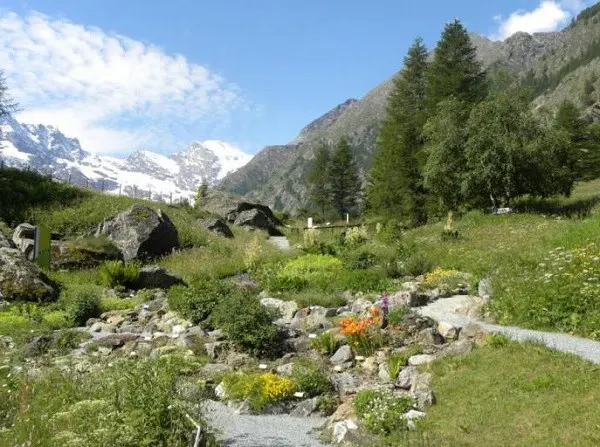 Valle-Aosta-Gran-Paradiso-botanische-tuin