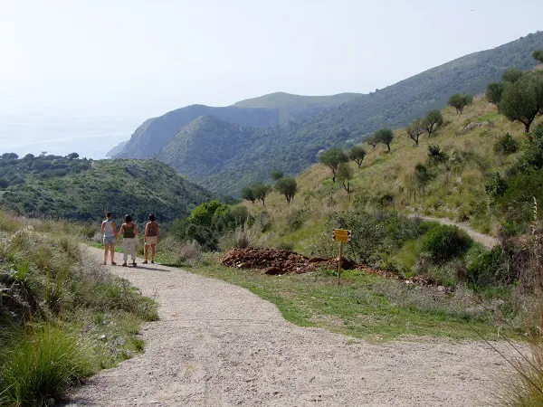 Vallone-Marcellino-Cilento (10)