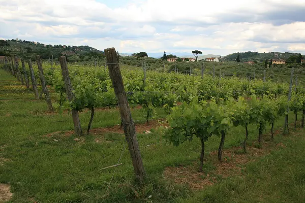 Vespa-tour-Toscane (14)