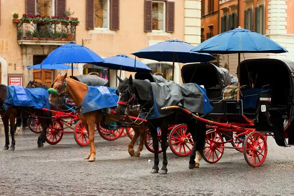 Via-delle-Carrozze-Rome