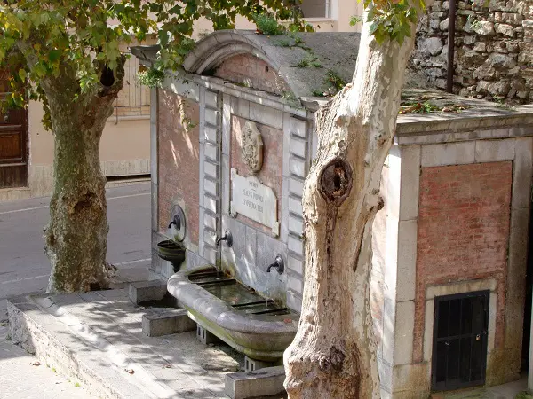 Vibonati (1)