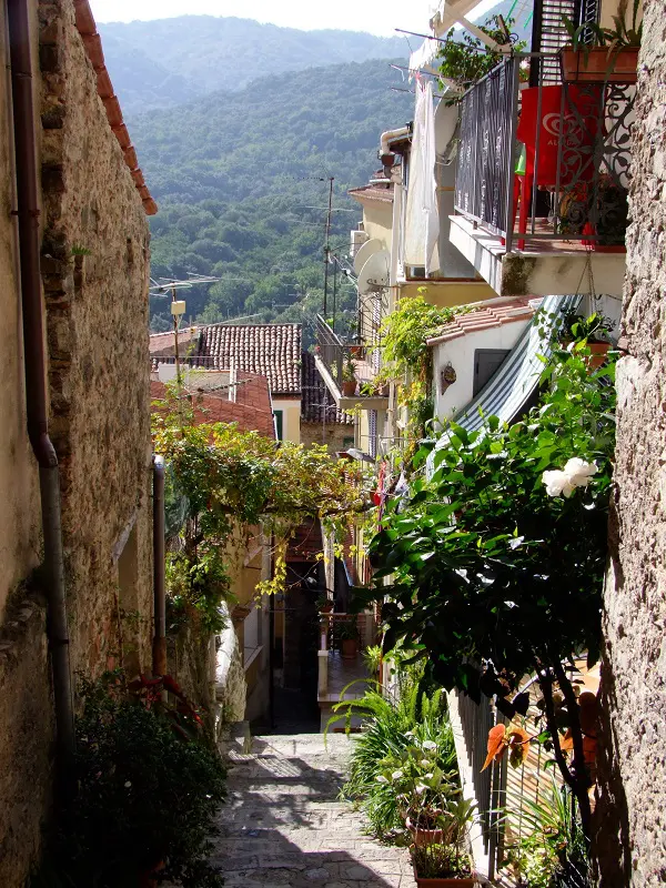 Vibonati (2)