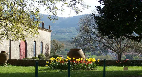 Villa-La-Magia5