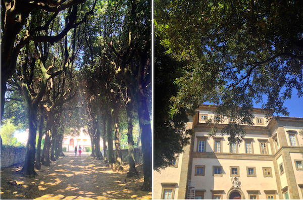 Villa-Rospigliosi-2