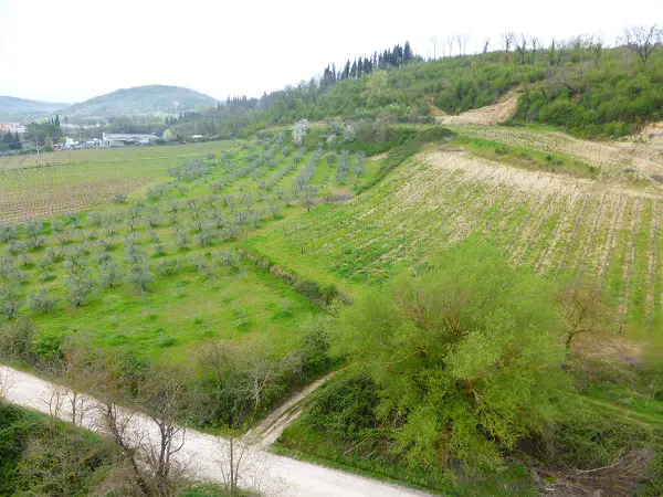 ballonvaart-Toscane (14)
