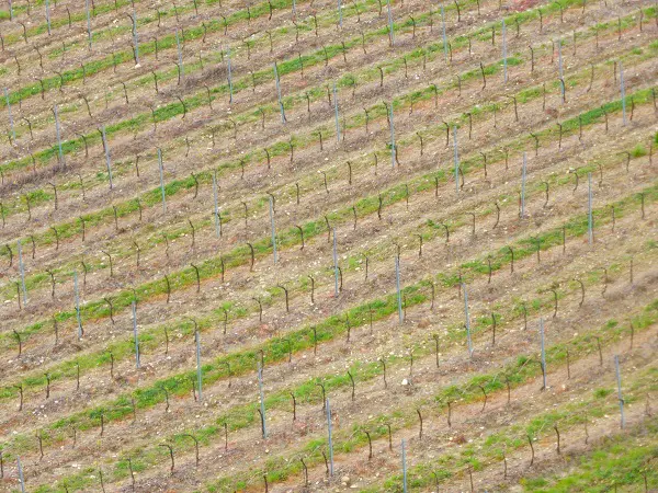 ballonvaart-Toscane (18a)