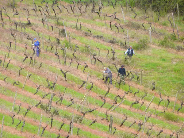 ballonvaart-Toscane (18b)